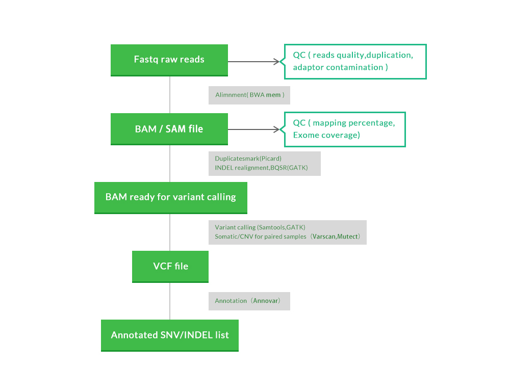 Whole Exome Sequencing (WES) Service