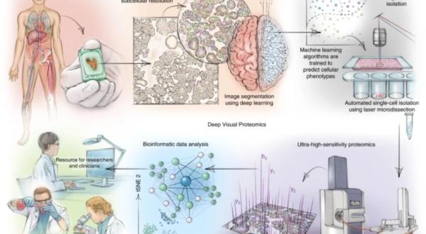 Deep Visual Proteomics: A Frontier in Biomedical Research