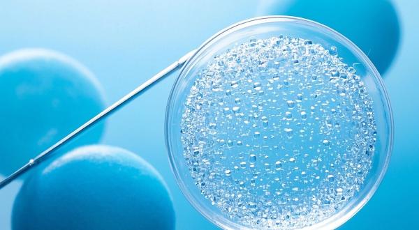 Automating NGS Pipelines: Python Scripting Techniques