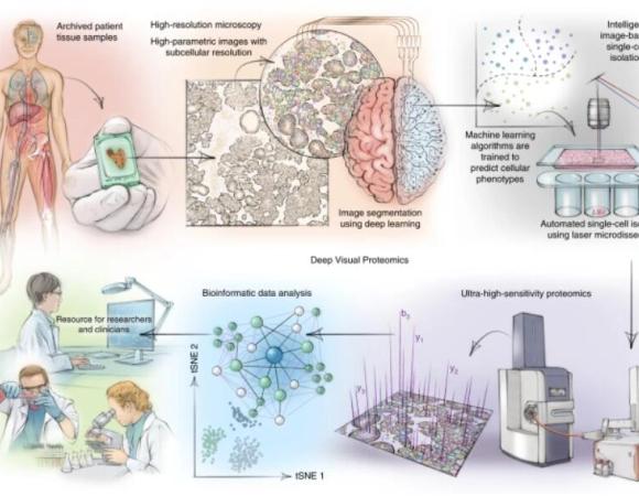 Deep Visual Proteomics: A Frontier in Biomedical Research