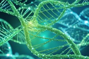Using WGS to Detect Structural Variants and Copy Number Changes