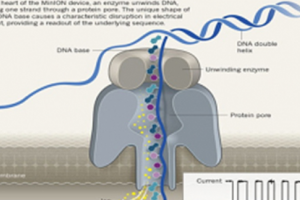 Fixed RNA Profiling from 10X Genomics