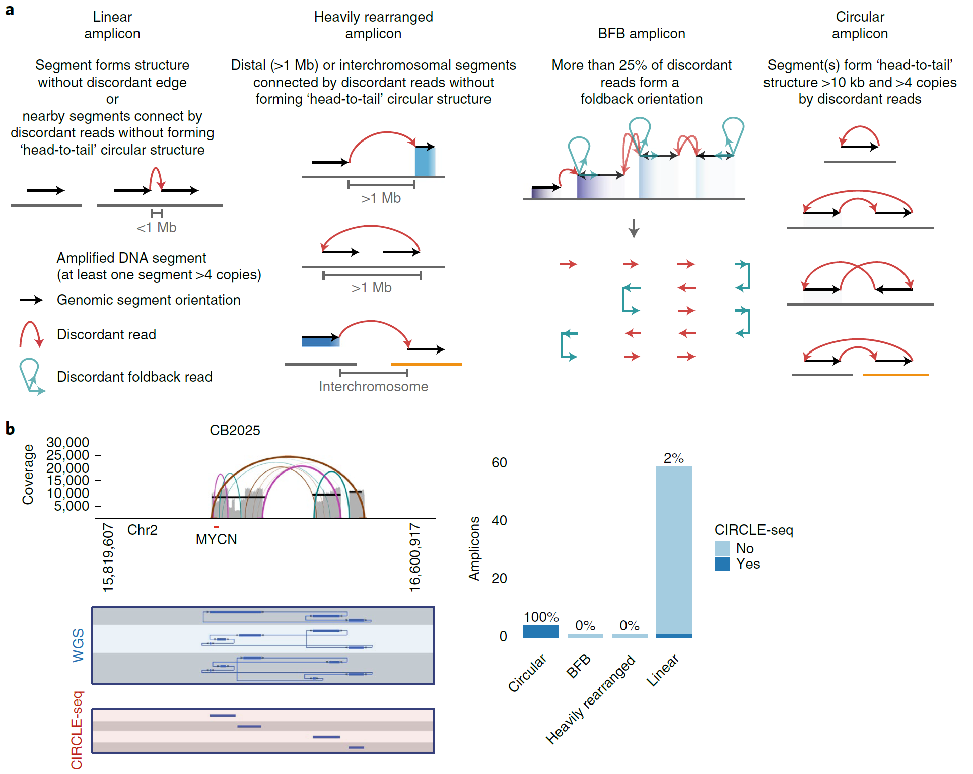 Fig. 1 AmpliconArchitect Tool and Evaluation of its ecDNA predication accuracy.png