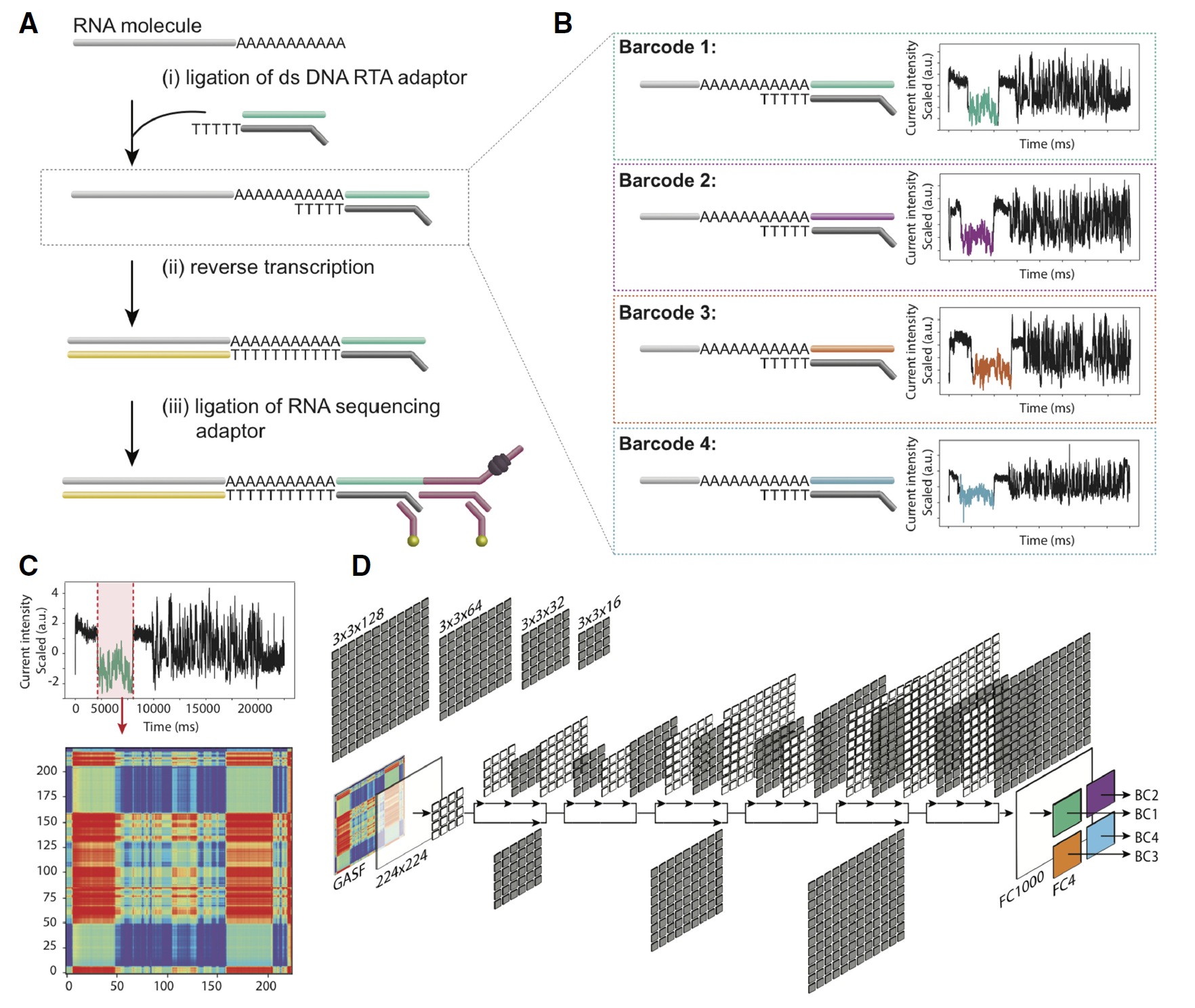 Fig. 2 Schematic overview of the direct RNA barcoding and demultiplexing strategy.png