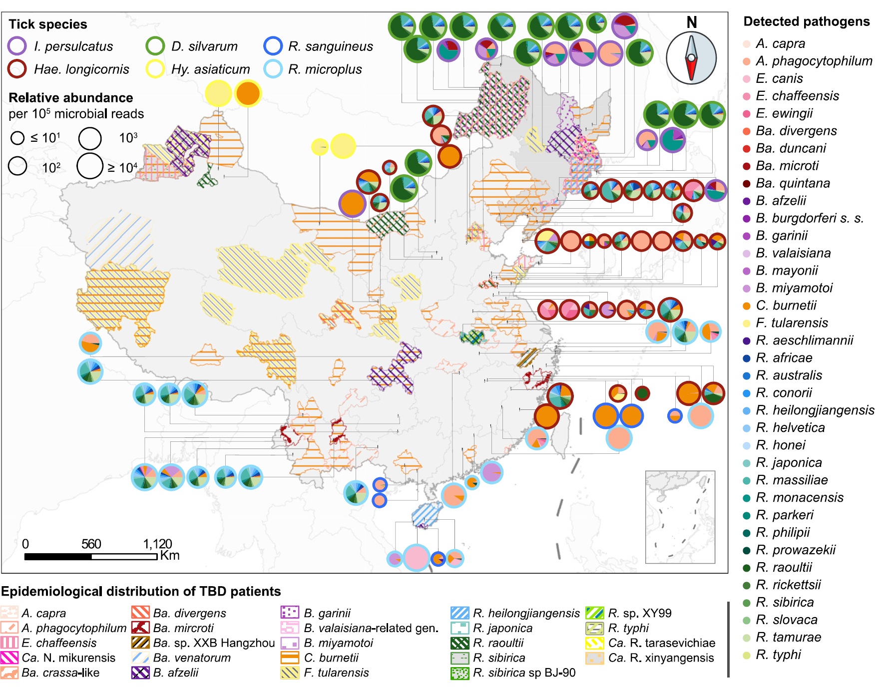 Fig. 3 Potential Pathogen Profiling of Six Tick Species.png