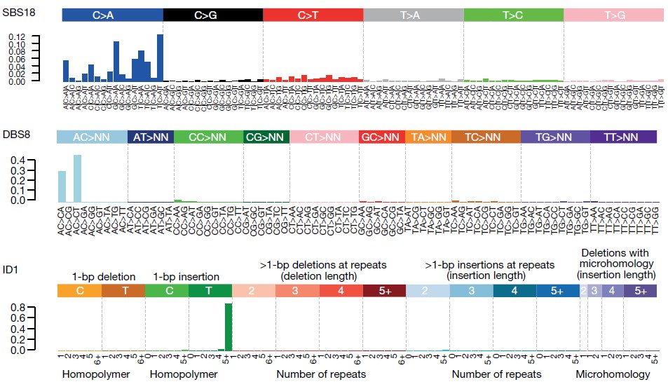 Figure 1 Mutations occurs in normal colon.jpg