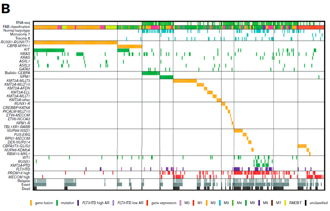 Figure 1B Landscape of 369 de novo pediatric AML patients.png