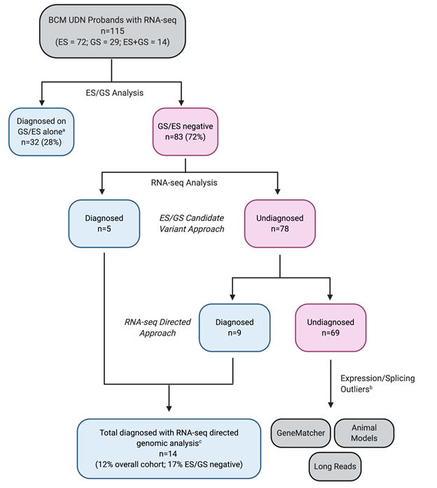 Figure 2 Flow diagram outlining BCM UDN RNA-seq diagnostic research process.tif_.png