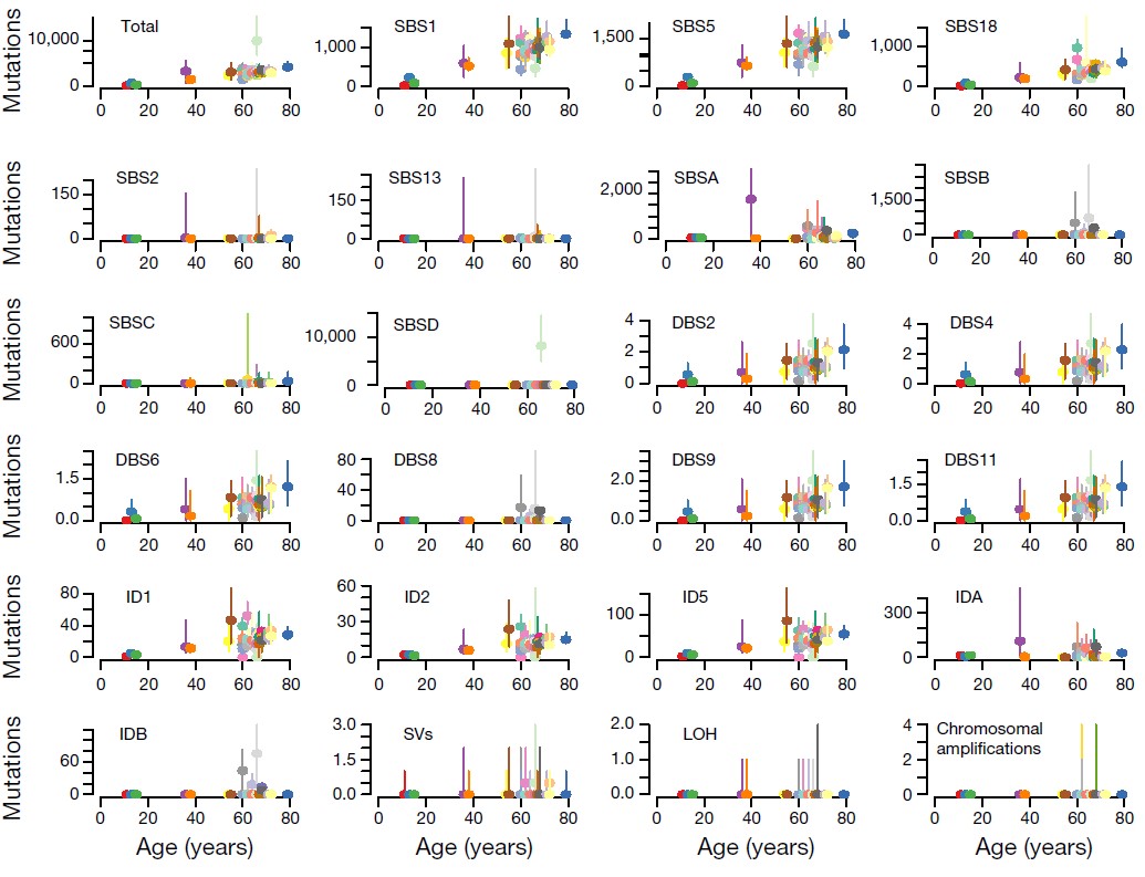 Figure 2 Mutational burden versus age for every signature.jpg