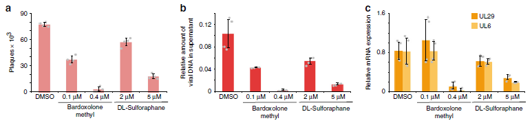 Figure 2 NRF2 activity counteracts HSV-1 infection.png