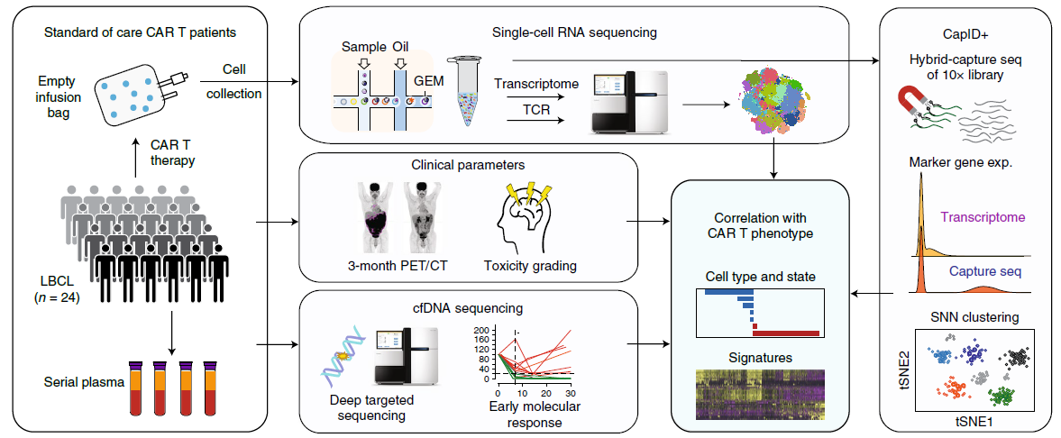 Figure 2 Overview of Deng’s study_0.png