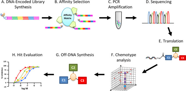 Using NGS to discover drug compound through ELT technology.png